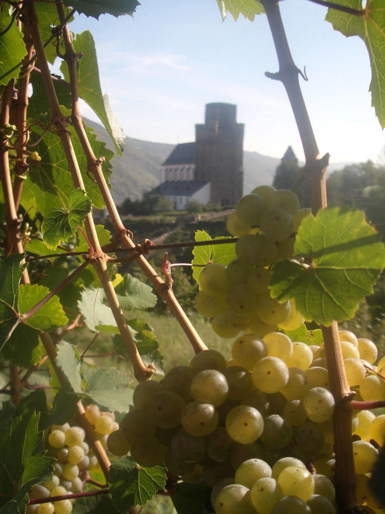 Gasthaus Weingut Stahl Oberwesel Buitenkant foto